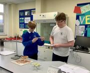 Screenshot 2026 02 03 153138